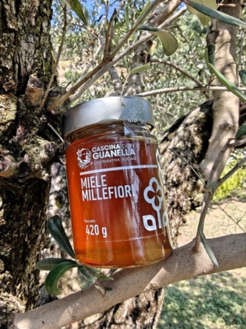 Miele millefiori