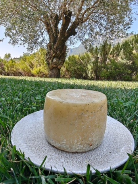 Formaggella